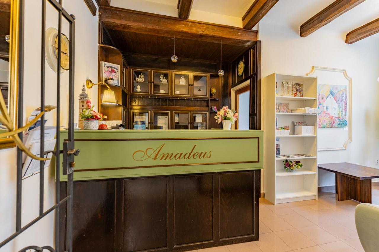 Hotel Amadeus チェスケー・ブジェヨヴィツェ エクステリア 写真