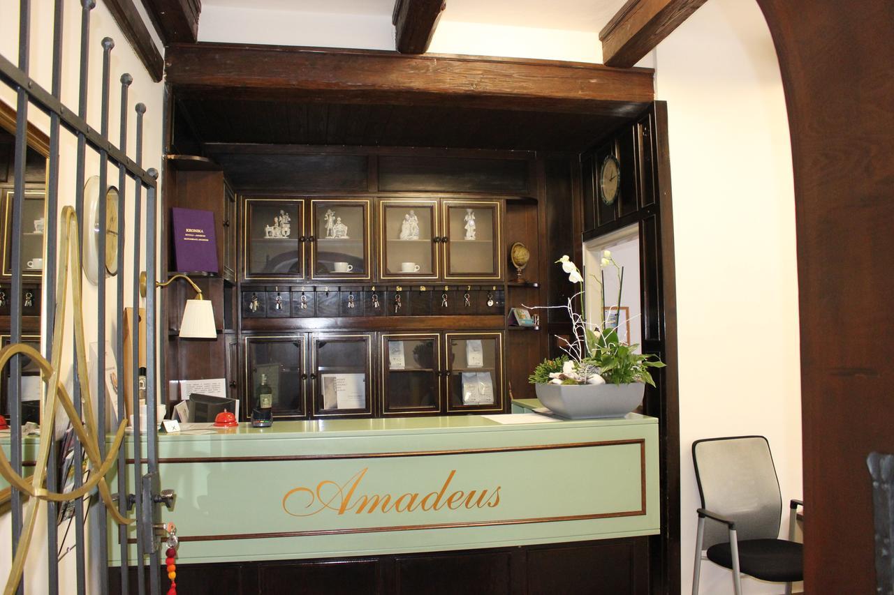 Hotel Amadeus チェスケー・ブジェヨヴィツェ エクステリア 写真